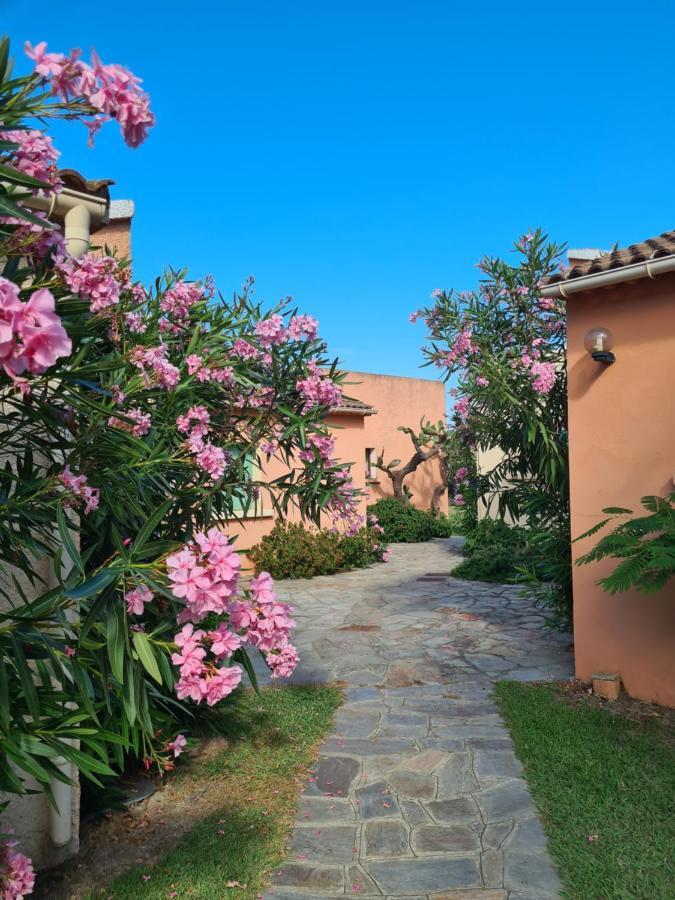 Pinea Mare Poggio Mezzana