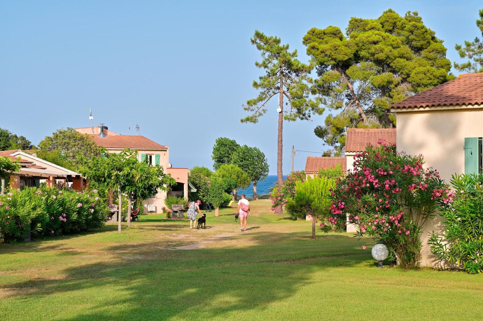 Pinea Mare Village de vacances Poggio Mezzana