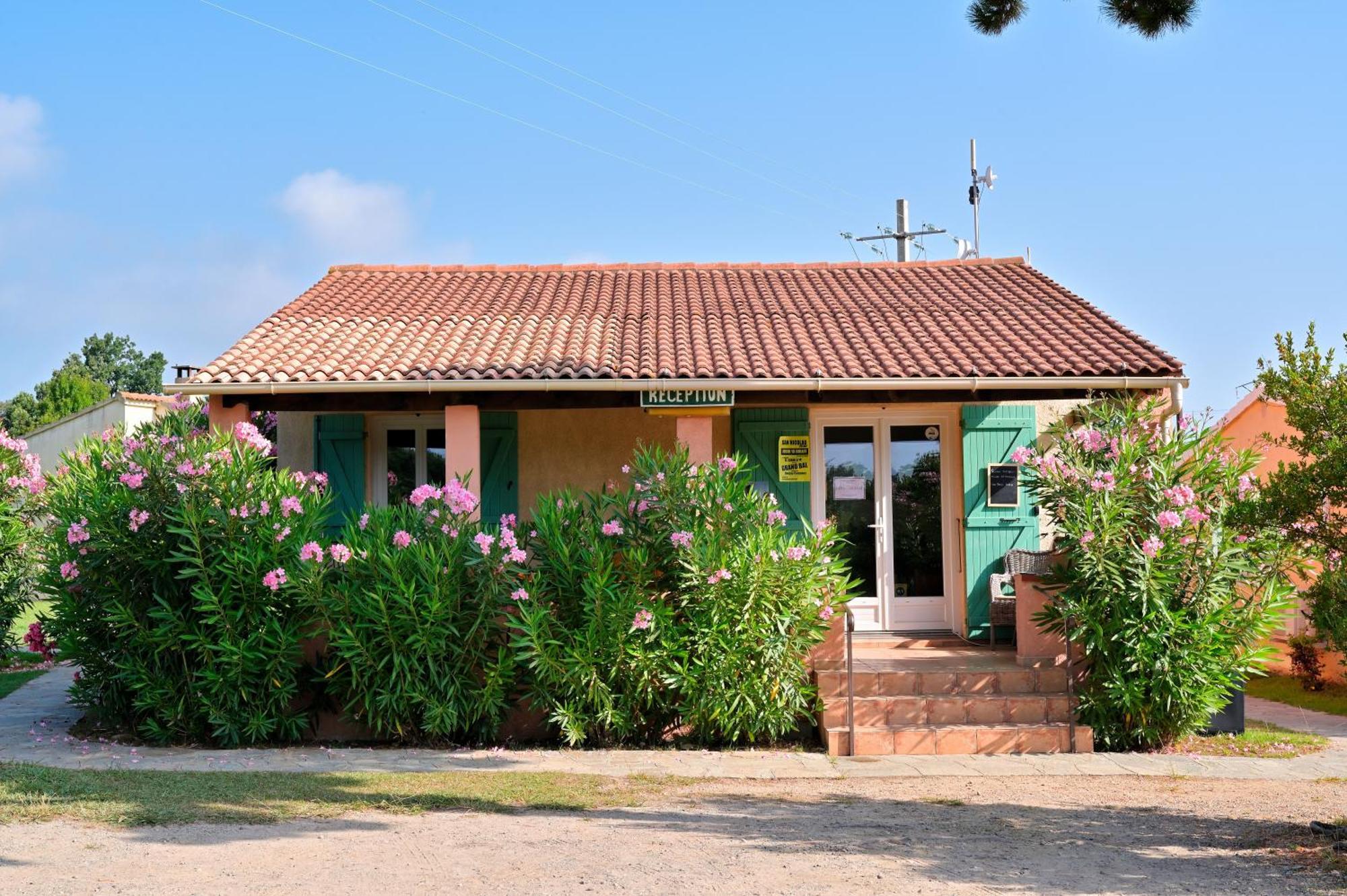 Pinea Mare 3* Poggio Mezzana