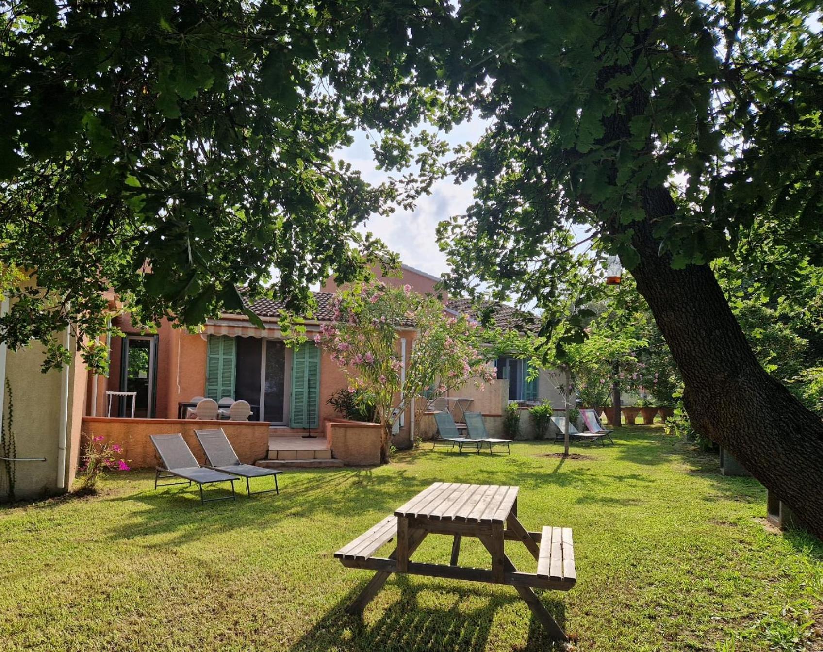Pinea Mare Poggio Mezzana